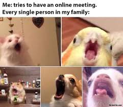 Find and save family meeting memes | from instagram, facebook, tumblr, twitter & more. Me Tries To Have An Online Meeting Every Single Person In My Family Meme Memezila Com