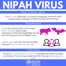 Zoonotic diseases, or diseases which have the capability to jump species, animals to humans or vice versa, have been particularly troublesome and deadly. Who South East Asia On Twitter To Prevent Nipah Virus Infection Avoid Consuming Raw Date Palm Sap Or Fruits Contaminated Or Partly Eaten By Bats Wash Hands Regularly With Soap Clean Water