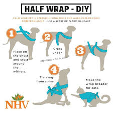 DIY thundershirt for those afraid of... - The Humane Society of Navarro  County | Facebook
