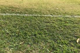 Internacional x botafogo brasileiro série a 2020 rodada 25 12 12 2020. Assistir Internacional X Botafogo Ao Vivo Online Campeonato Brasileiro Serie A Sabado 12 12 Mais Nacional