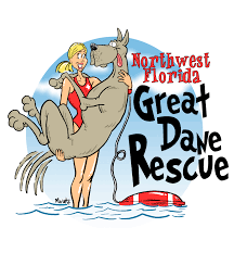 Great dane rescue that supports central florida and. Pets For Adoption At Nw Florida Great Dane Rescue Inc In Pensacola Fl Petfinder