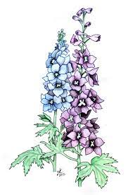 Delphiniums Flower Drawing Flower Painting Floral Painting