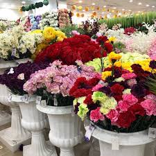 شركة مجمع القارات on instagram مجمع القارات أكبر مول متكامل بالمدينة المنورة الطابق الثالث قسم ال backyard garden design garden design backyard garden