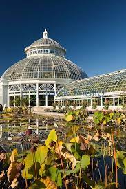 Waterlilies And Greenhouse Jack Aiello Photography Ambiance Alliance Adolescent