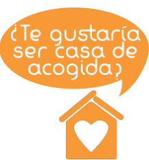 Esta casa tiene una vibración especial con vida propia. Https Encrypted Tbn0 Gstatic Com Images Q Tbn And9gctnwzfy 5ctvavwwrrby7gryto8sj4ipn8ksw Usqp Cau
