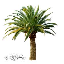 This clipart image is transparent backgroud and png format. Palm Tree Clipart Palm Tree Png Images Free Transparent Png Logos