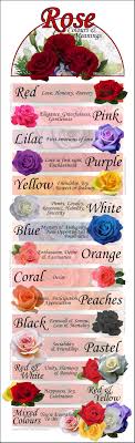 To join a scion (top part or stem) with a stock (bottom part or a stem with roots) to create a new plant. Rose Colours And Their Meanings Http Www 24hrscityflorist Com Blog Rose Colours Meanings Rose Color Meanings Color Meanings Blue Rose Meaning