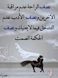 كلام صائب Words Quotes My Life Quotes Arabic Quotes