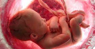 gebelikta plasenta previa durumu nedir zararlari nelerdir