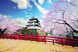 Mar 10, 2021 · in japan, there is an event called hanami or 'cherry blossom viewing party' in spring, in which people enjoy the sakura in full bloom. 10 Best Cherry Blossom Spots In Japan Where To View Japan S Cherry Blossoms Go Guides