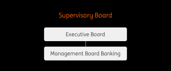 Our strategy for standard bank group is to build the leading africa. Management Structure Ing