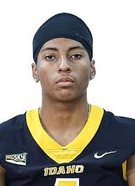 All-Big Sky football teams: Idaho's McCoy earns top freshman honor