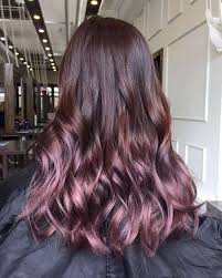 Ultra Glossy Ultra Lush Lustrous Ombre Hair Color In Beautiful Shades Of Sugary Plum Cabelos Pintados Ideias De Cabelo Cores De Cabelo