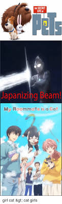 Not really that interesting, but not too terrible. The Secret Lifeof Japanizing B Eam My Roommate Is A Cat Anime Meme On Me Me