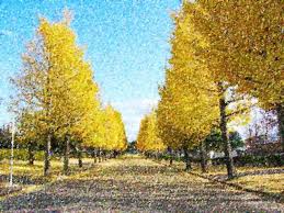 Image result for pointillismo arte divisionismo