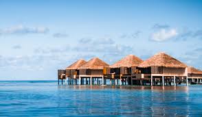 Travel For Free Bora Bora Book Cheap Flights Booking Flights