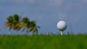 Image result for how does humidity affect golf ball