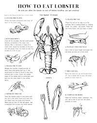 How To Crack And Eat Lobster - Lobsteranywhere.com