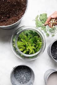 Should You Mist Your Houseplants In Addition To Watering Them Diy Succulent Terrarium House Plant Care Garden Plant Stand
