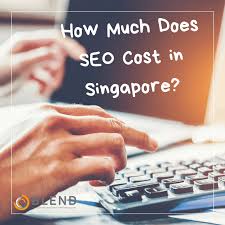 How Much Does Seo Cost In Singapore Seo Search Marketing Affordable Seo