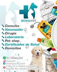 Veterinaria RoyalVet