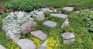 My soil is clay, making it worse because it holds this pool overflow water, where i want and had my organic garden, for so long, we can hardly get any work done anyway. How To Stop Soil Erosion My Garden Life