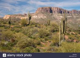 It has some very dramatic scenery that starts early on and continues all the way to payson, but you don't gain that much elevation and the. Tonto Nationalwald Stockfotos Und Bilder Kaufen Alamy