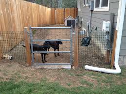 Here are a few thoughts to consider. Img 0544 Jpg 1 600 1 200 Pixels Outdoor Dog Runs Backyard Dog Kennel Ideas Kennel Ideas Outdoor