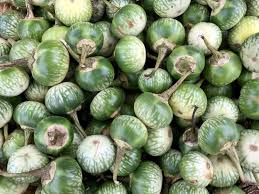 See more ideas about eggplant recipes, healthy recipes, recipes. 12 Different Types Of Eggplant Home Stratosphere