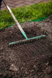 How To Plant Grass Seed Planting Grass Seed Planting Grass Grass Seed
