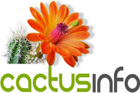 By now you already know that, whatever you are looking for, you're sure to find it on aliexpress. Artificial Light Cactus Info