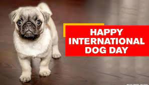 International dog day is celebrated every august 26th and was founded in 2004 by pet & family lifestyle expert and animal advocate colleen paige, also the founder of national puppy day, national mutt day and national cat day to bring attention to the plight of animals and encourage adoption. International Dog Day Netizens Share Adorable Pics With Their Furry Friends