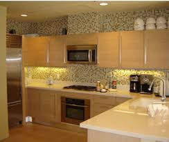 Safari Condos Kitchen Light Bamboo Cabinets With Cream Colored Quartz Countertops Full Wall Of Amber And Green Bamboo Cabinets Condo Kitchen Kitchen Lighting