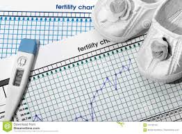 planning of pregnancy the fertility chart stock image