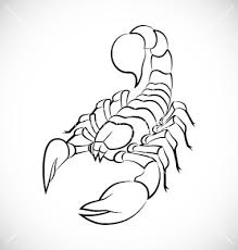 We did not find results for: Abstract Scorpion Vector On Vectorstock Scorpio Art Scorpion Tattoo Sketches