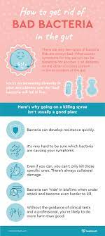How To Get Rid Of Bad Bacteria In The Gut - Healthpath