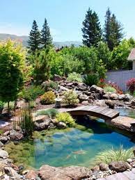 bassin de jardin et un pont en bois beautiful home gardens ponds backyard fish pond gardens