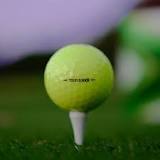 Image result for what golf clubs does fred couples play