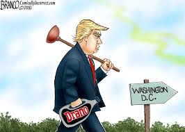 Image result for washing dc swamp