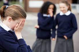 Bullying In The Early Teen Years