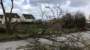 Wir als seitenmarkisen seitenbetreiber haben es uns zur. Unwetter Friederike Sturmschaden Schnell Melden