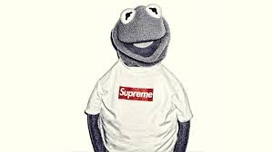 10 Kermit The Frog Hd Wallpapers Background Images