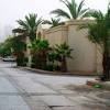 معلومات حول المرتفعات والمنخفضات الجوية ومعادلات realfeel‎ وتوقعات هطول. 1