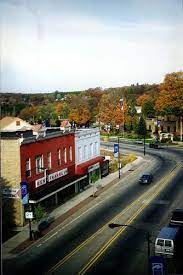 Newaygo county is in the heart of west michigan and is home to 234 lakes, 356 miles of rivers and streams and over 100,000 acres of national forest. City Of Newaygo Mi From Building Roof Newaygo Newaygo Michigan Building Roof
