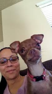 HELP US FIND MONAE RODRIGUEZ-AGUILAR ANY INFO CONTACT ME OR COALINGA POLICE  DEPARTMENT 559-935-1525 MISSING OUT OF COALINGA CA. SINCE 2-21-23