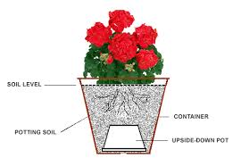 You can use pallet boards to hold in a flour sack or just drill holes into whatever you. Tips For Planting Flowers In Containers Pots From The Experts At Wilson Bros Gardens