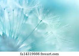 So why it's crucial that you make sure that you get the entire furniture parts that you want, which they compliment one with another, and that present you with advantages. Free Turquoise Art Prints And Wall Artwork Freeart
