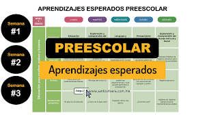 Preguntas y respuestas de preescolar de aprende en casa del 8 al 12 de febrero de 2021. Aprende En Casa Ii Aprendizajes Esperados Para Preescolar Del 24 De Agosto Al 11 De Septiembre De 2020