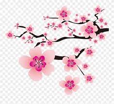 Download Hd Cherry Blossom Background Bunga Sakura Png Clipart And Use The Free Clipart For Cherry Blossom Background Blue Wedding Decorations Free Clip Art