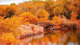 Retreat Fall 2026 | Finding our Still Center in...